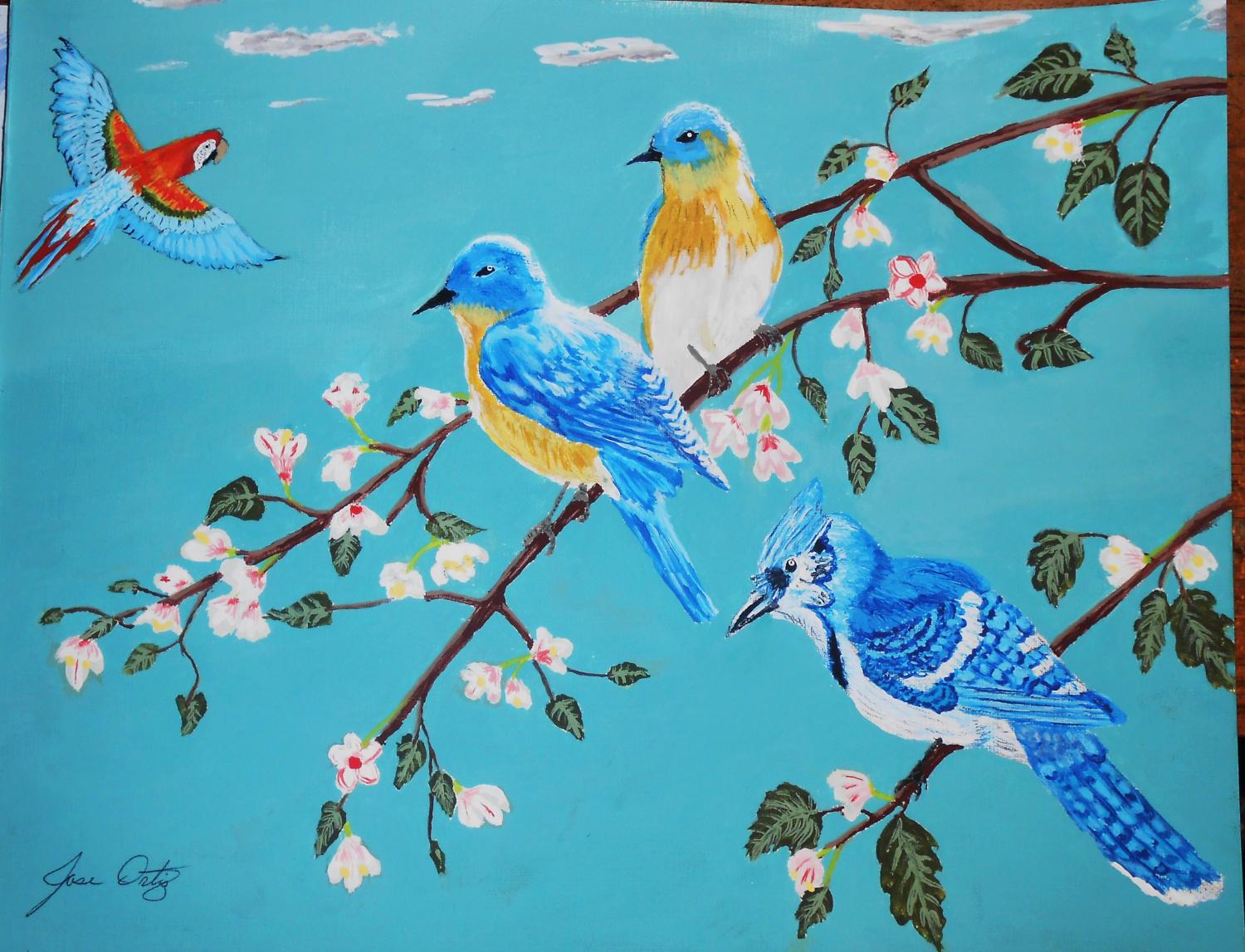 Birds